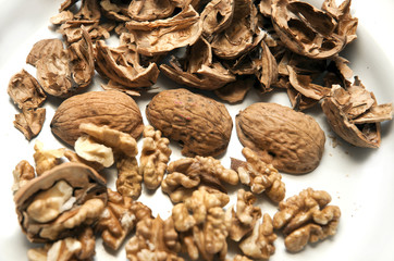 NOCI SGUSCIATE SU SFONDO BIANCO