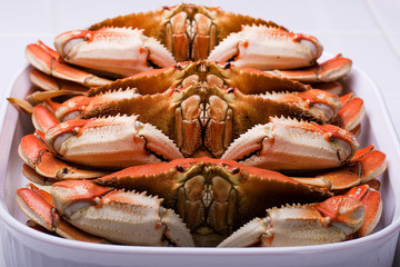 Dungeness Crab
