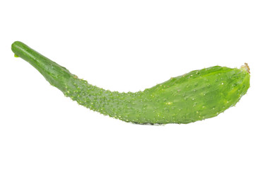 Green Chinese Cucumber Isolated on White Background