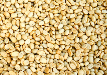 unroasted coffee beans background