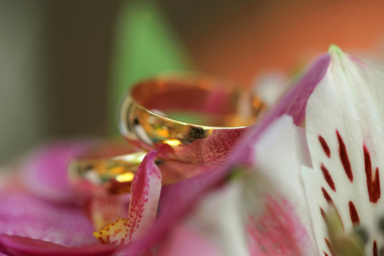 Arrangement of wedding rings