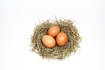 Eier im Stroh