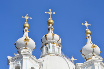Fototapeta na wymiar Katedra Smolny w słoneczny dzień wiosny