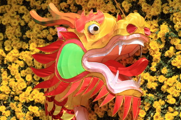 oriental dragon decoration for Chinese new year celebration