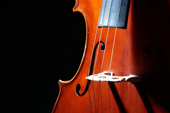 violoncelle - cello