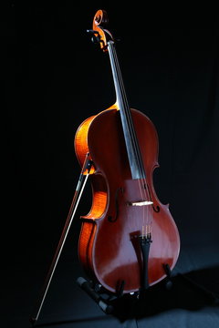violoncelle - cello