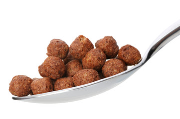 Chocolate cornflakes. A dry breakfast in a spoon.