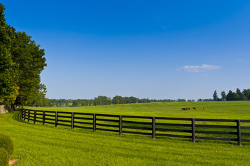 Fototapeta na wymiar Dekoracje Country. Zielone pastwiska gospodarstw konnych