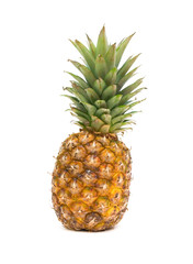 ripe pineapple on a white background