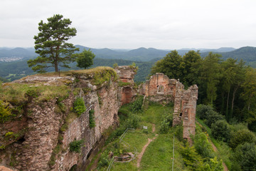 Fototapeta na wymiar Neuscharfeneck 3609