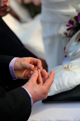 Obraz premium Groom holding wedding rings.