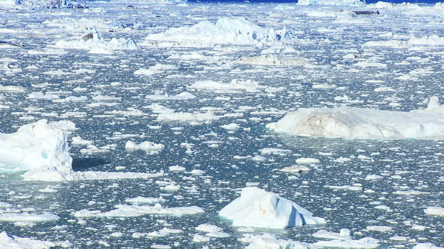 Ice Floes with Icebergs