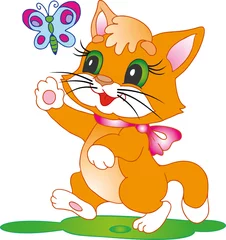Photo sur Plexiglas Chats chaton avec un papillon