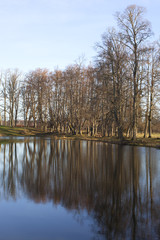Fototapeta na wymiar Trees at pond.