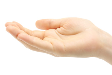 Human hand held up on white background