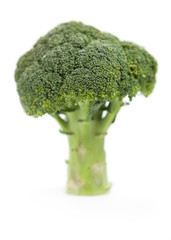 Broccoli tree shape  close up on white background 