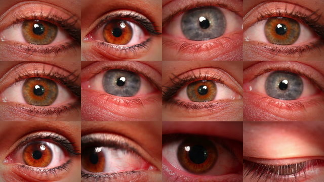 Eyeball Montage