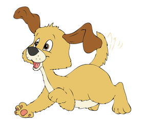 Hund, Welpe, Hundewelpe