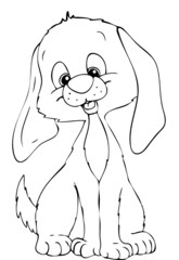 Hund, Welpe, Hundewelpe