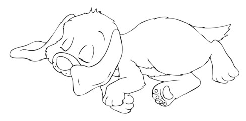 Hund, Welpe, Hundewelpe