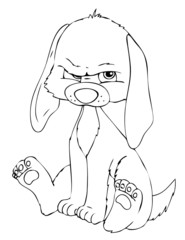 Hund, Welpe, Hundewelpe
