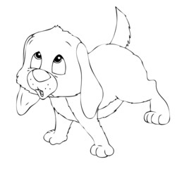 Hund, Welpe, Hundewelpe