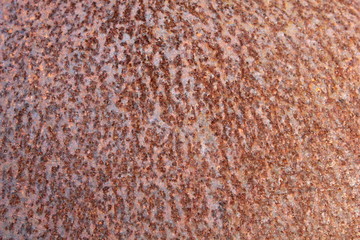 Rusted metal background