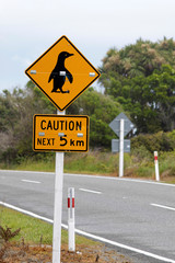Schild Vorsicht Pinguine