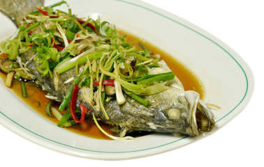 steamed fish