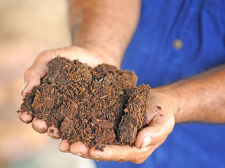 Handful of soil