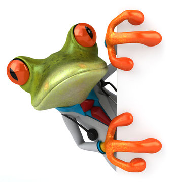 Grenouille docteur