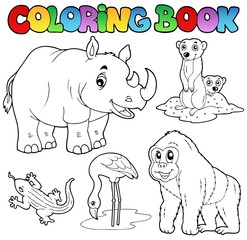 Livre de coloriage animaux de zoo set 1