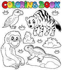 Ensemble d& 39 animaux de zoo de livre de coloriage 2