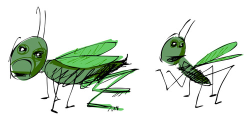 grasshopper