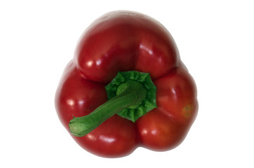 Rote Paprika frontal