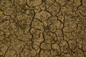 The dried land