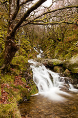 Waterfall in Wales