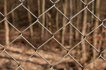 Fototapeta premium Blich durch den Zaun