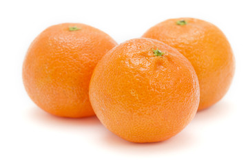Three satsumas on white background