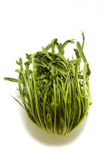 Puntarelle