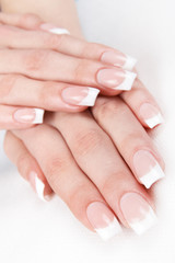 Fototapeta premium A professional French manicure