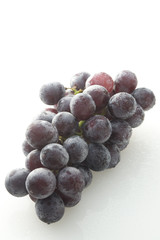 ぶどう〜巨峰
