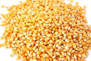 Corn close up picture