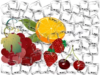 Foto op Plexiglas anti-reflex Bevroren fruit © sarininka
