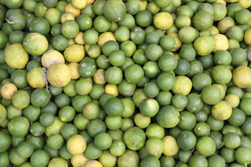 citron vert,indonésie