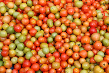 tomates vertes,indonésie