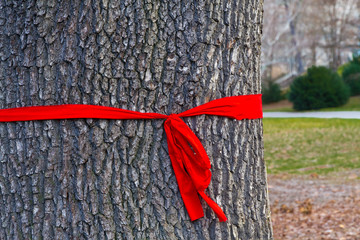 Rote Schleife am Baum