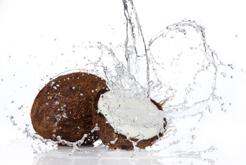 Coconut with water splash, isolated on white background