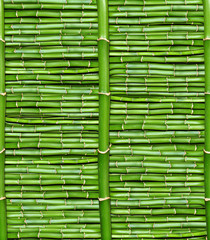 Panele Szklane Podświetlane  bambus - tapeta