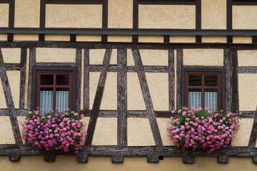 Alpirsbach 3968